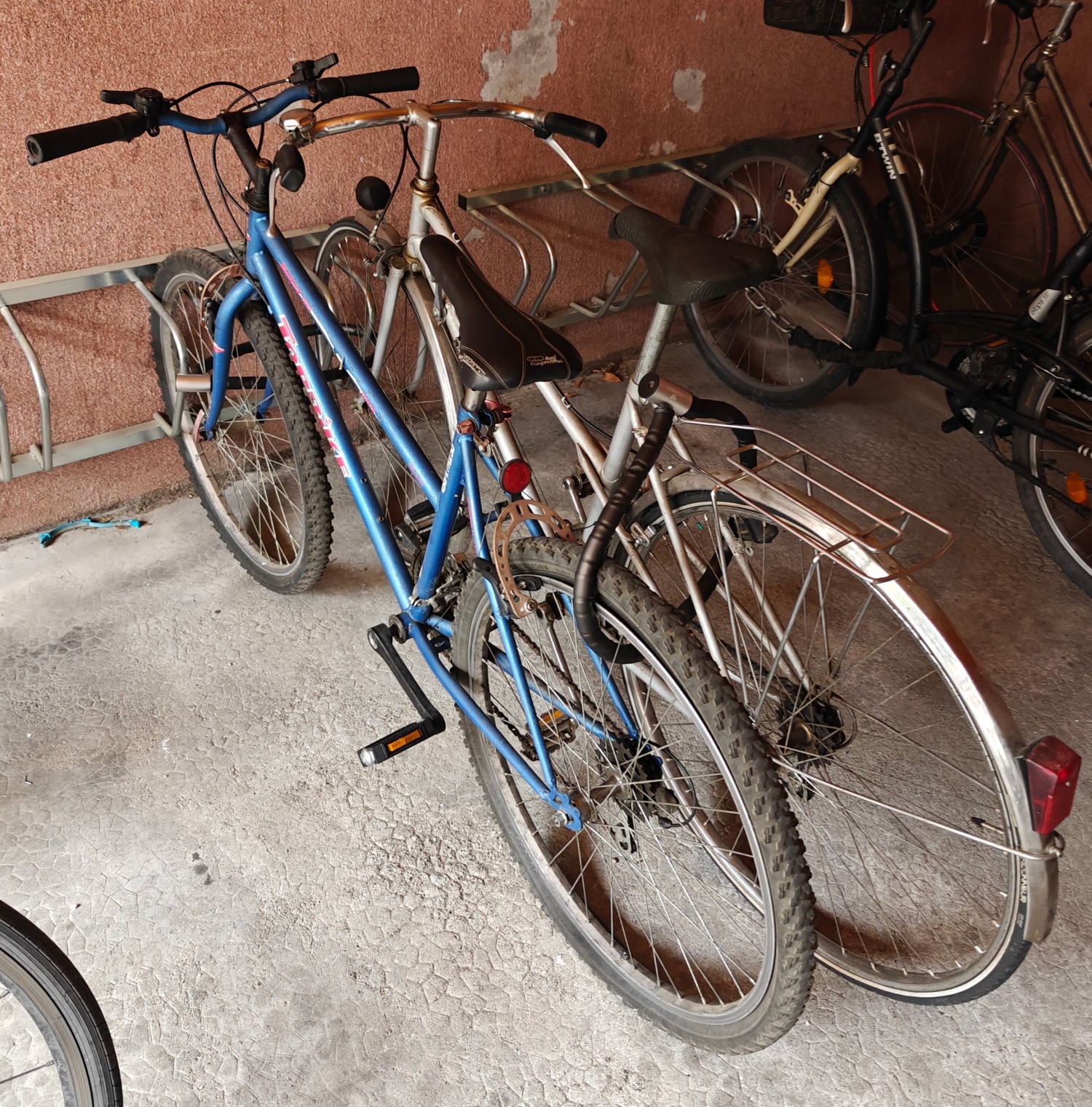 Violettes — photo du logement 9