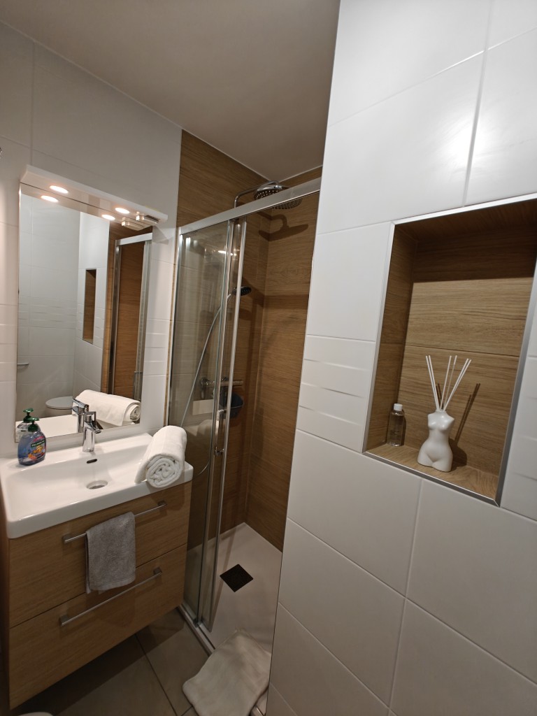 Violettes — photo du logement 4