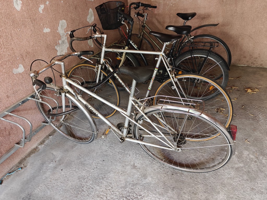 Violettes — photo du logement 9